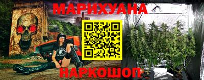 сатива Заводоуковск