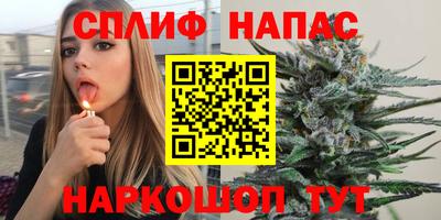 прущие грибы Заволжье