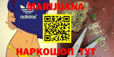 сатива Заводоуковск