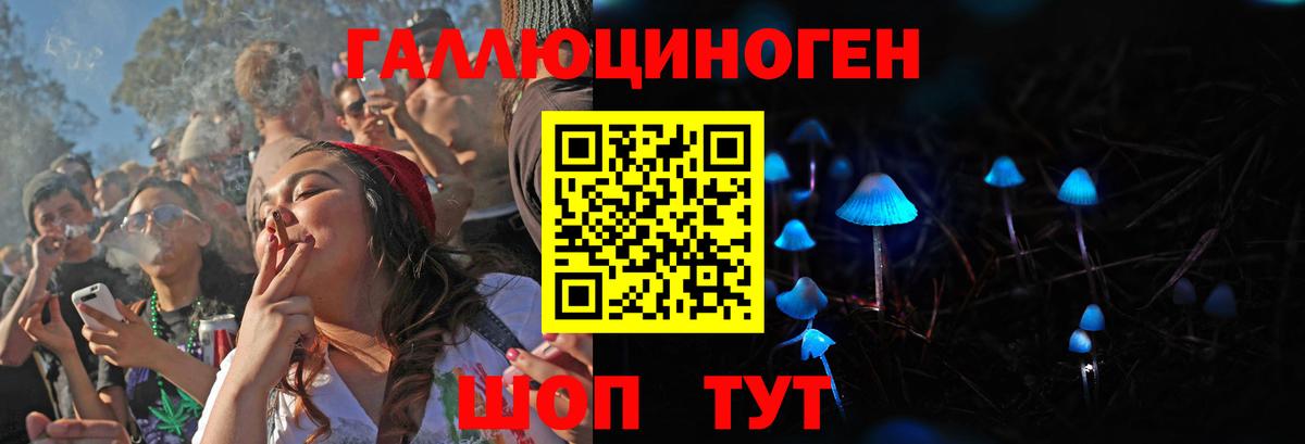 Малоярославец  Галлюциногенные грибы Psilocybine cubensis  Вход с VPN 
